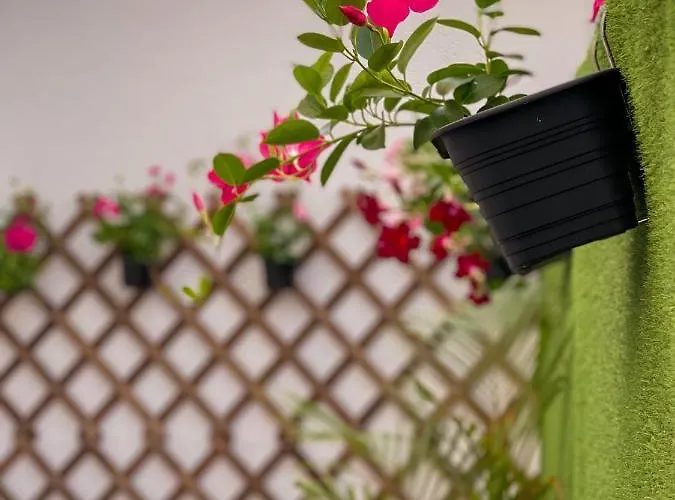 Augas Quentes Konukevi